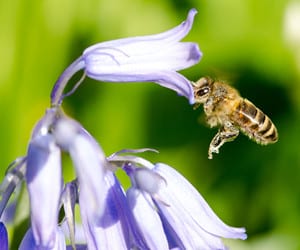 Een leven met innerlijke vervulling