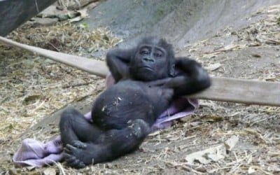Meditatie oefening: Totale ontspanning