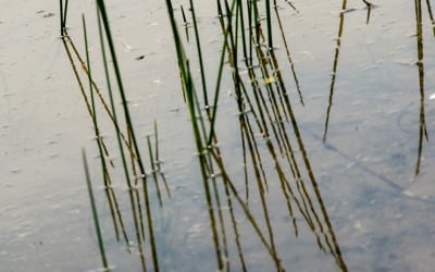 Introductie bijeenkomsten en inspiratie Bezield Ouder Worden