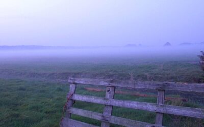 Chaos en polarisatie in de wereld en onszelf